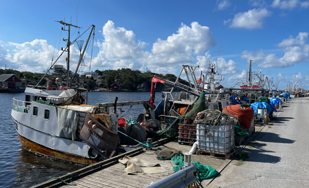 Reketrålere i Utgårdskilen.